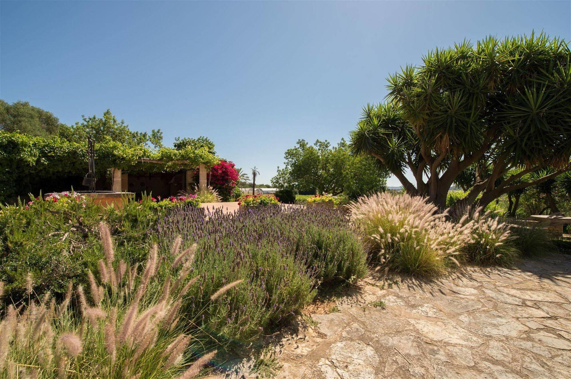 Hotel Rural Can Feliu Porreres Extérieur photo